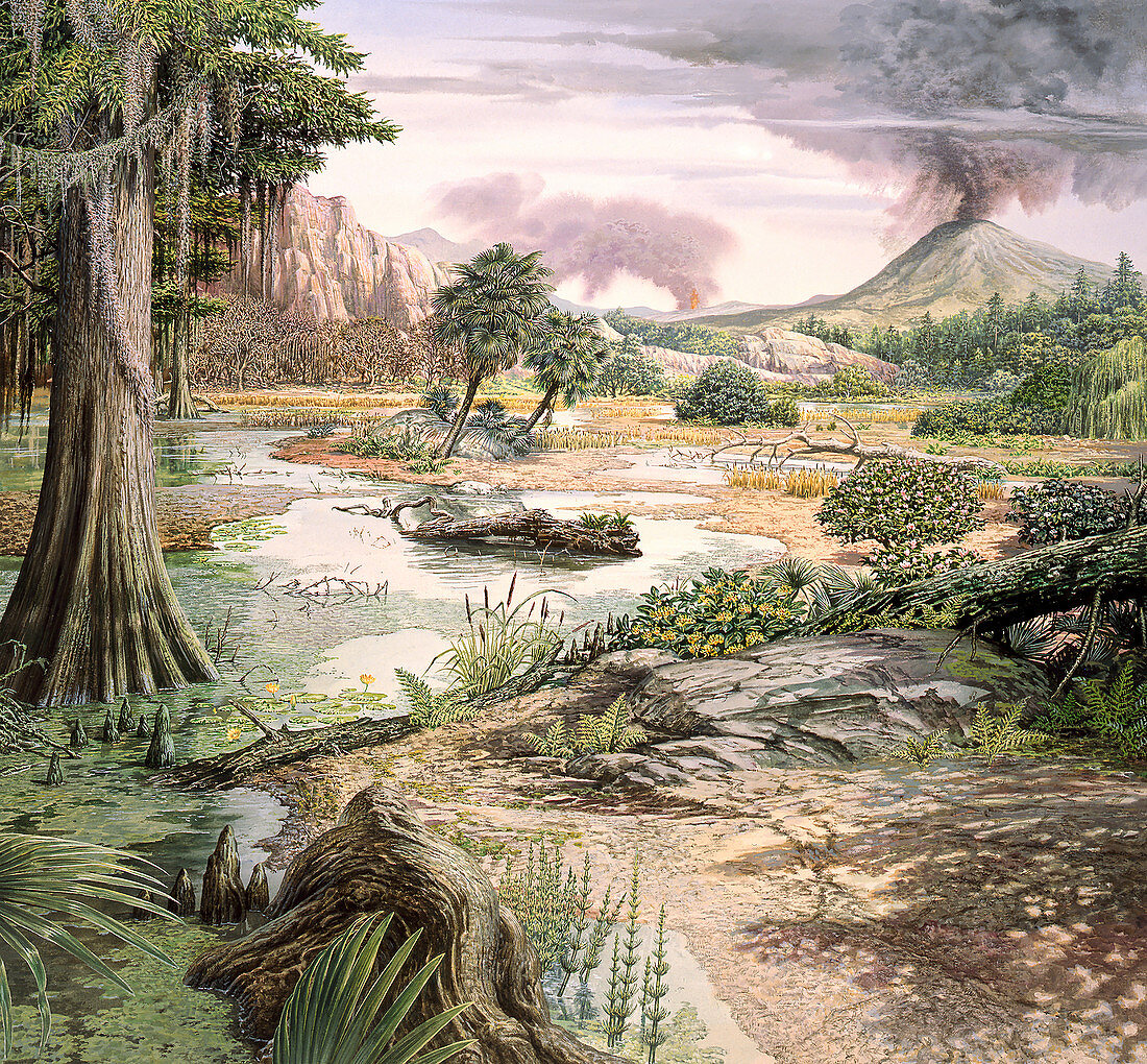 Cretaceous landscape, illustration