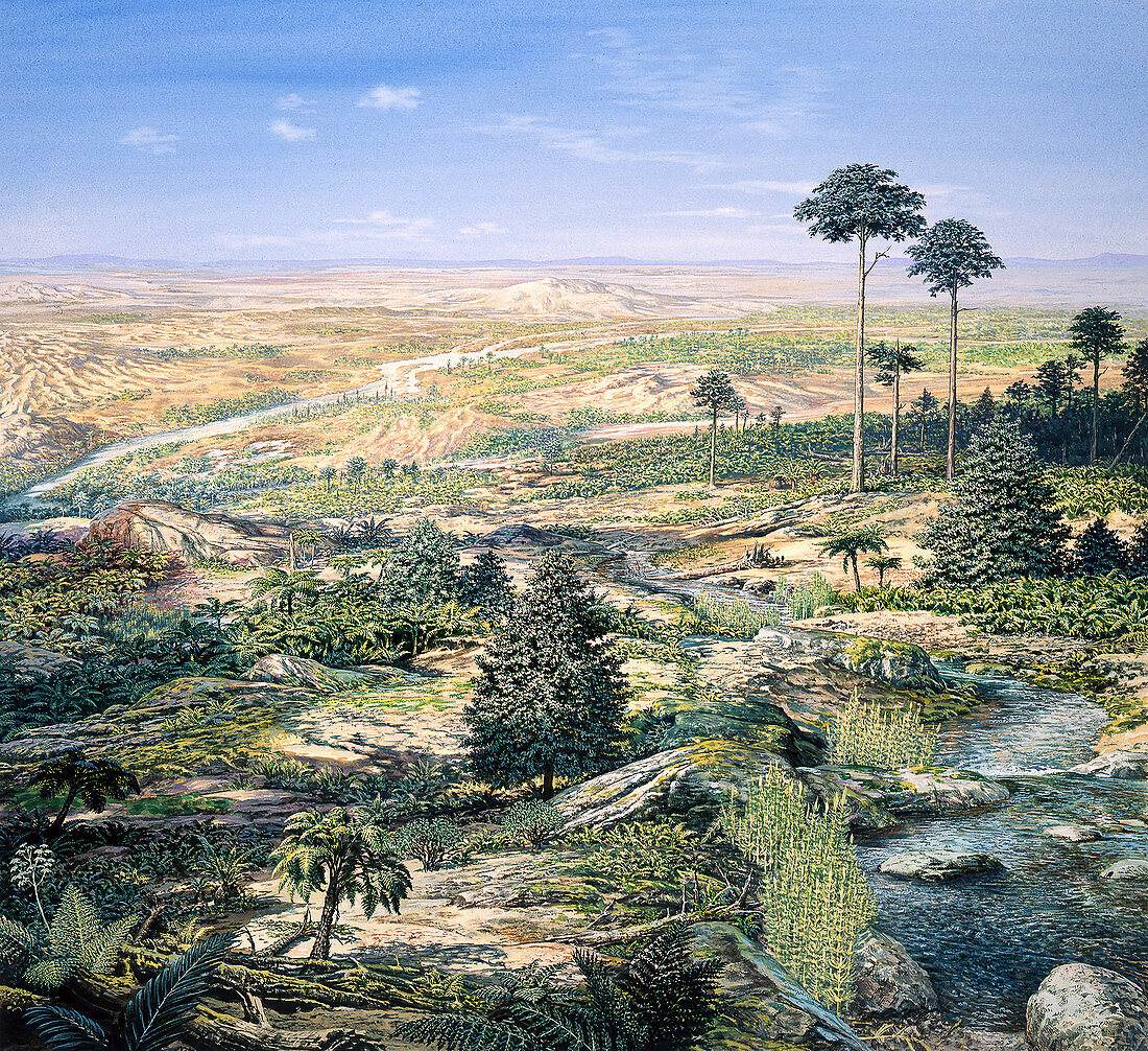 Late Triassic landscape, illustration