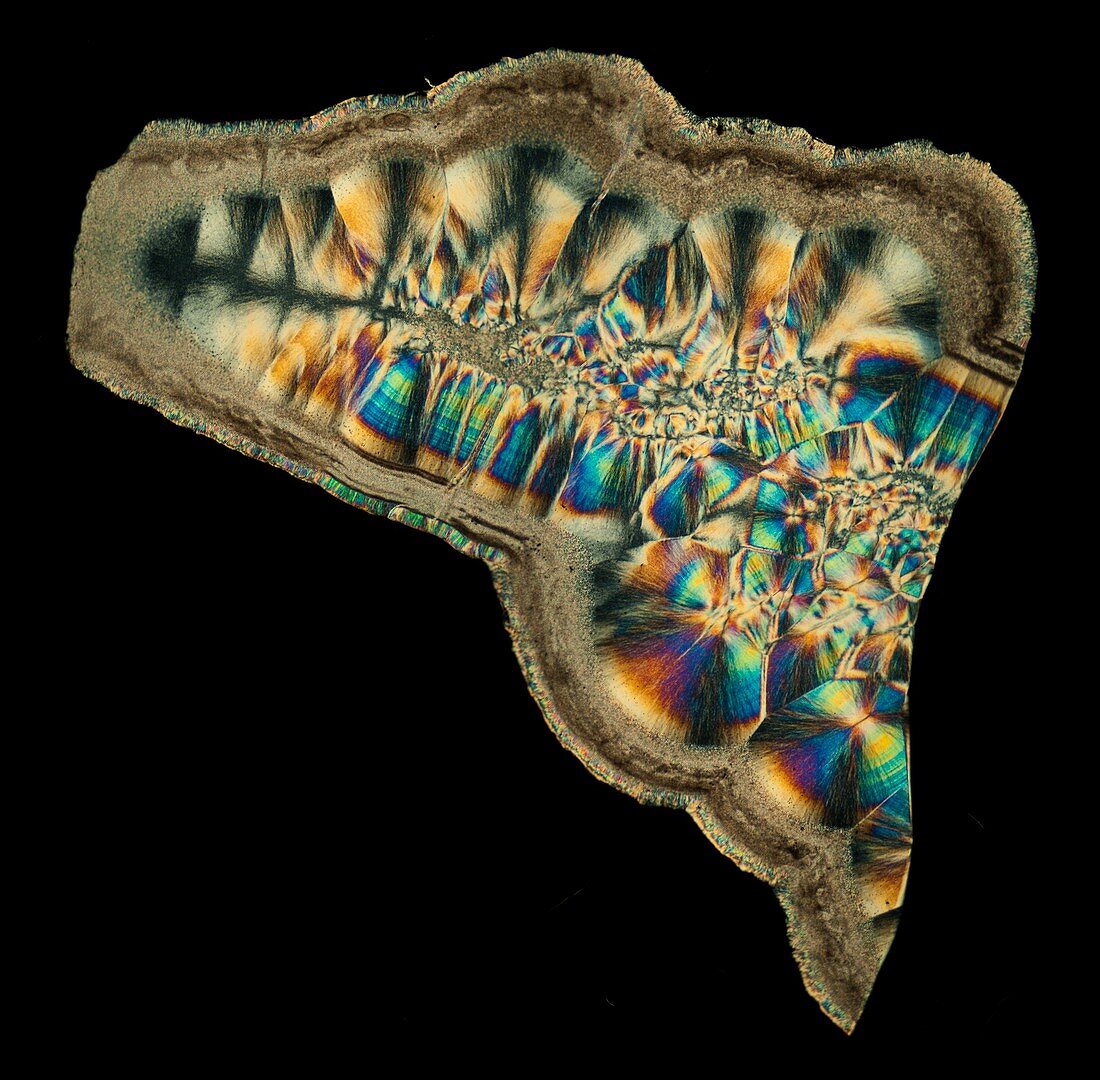 Siberian agate, polarised light micrograph