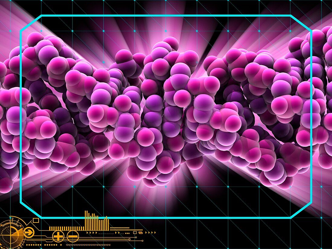 Human mitochondrial RNA molecule