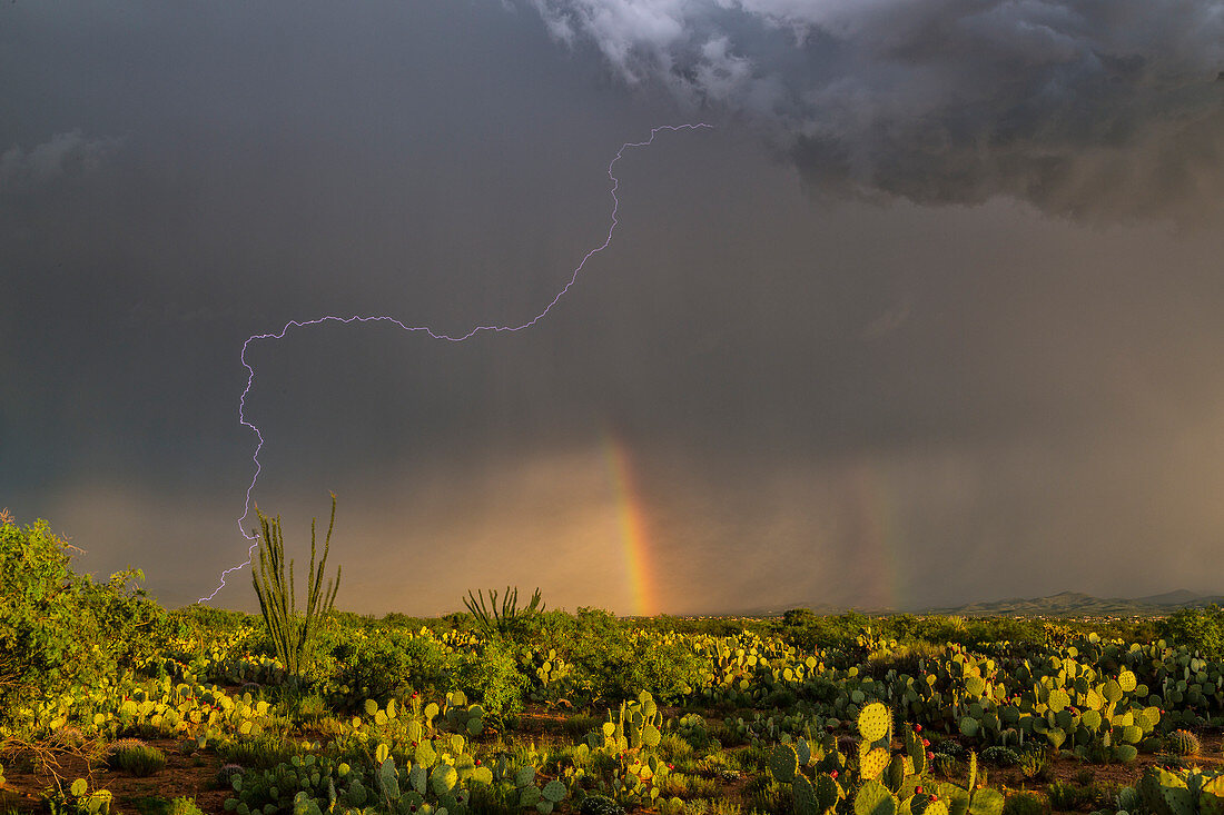 Lightning strike and rainbow, Arizona, USA