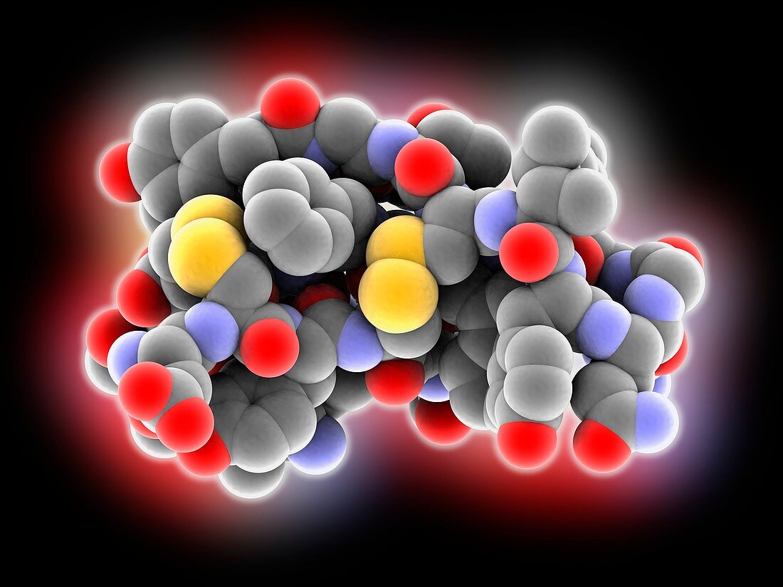 Defensin anti-microbial peptide