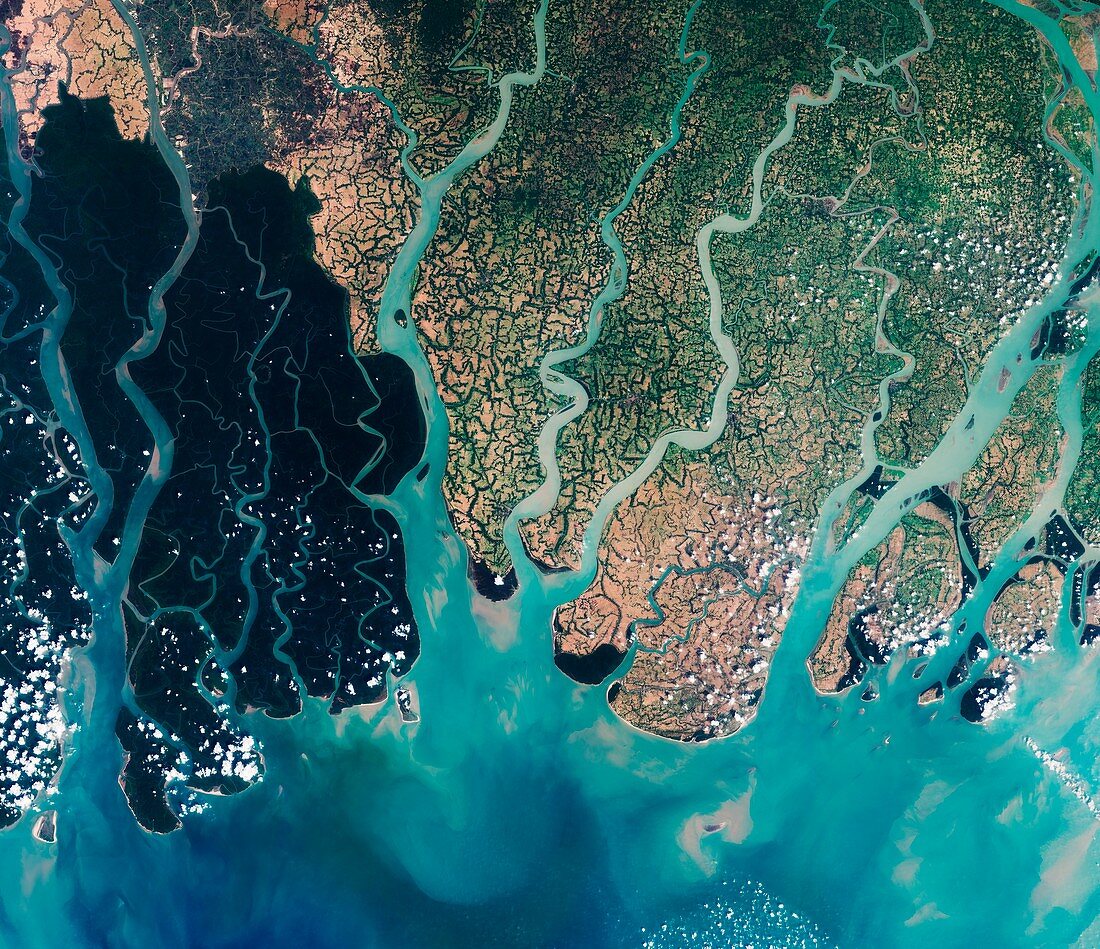 Sundarbans, Bangladesh, satellite image