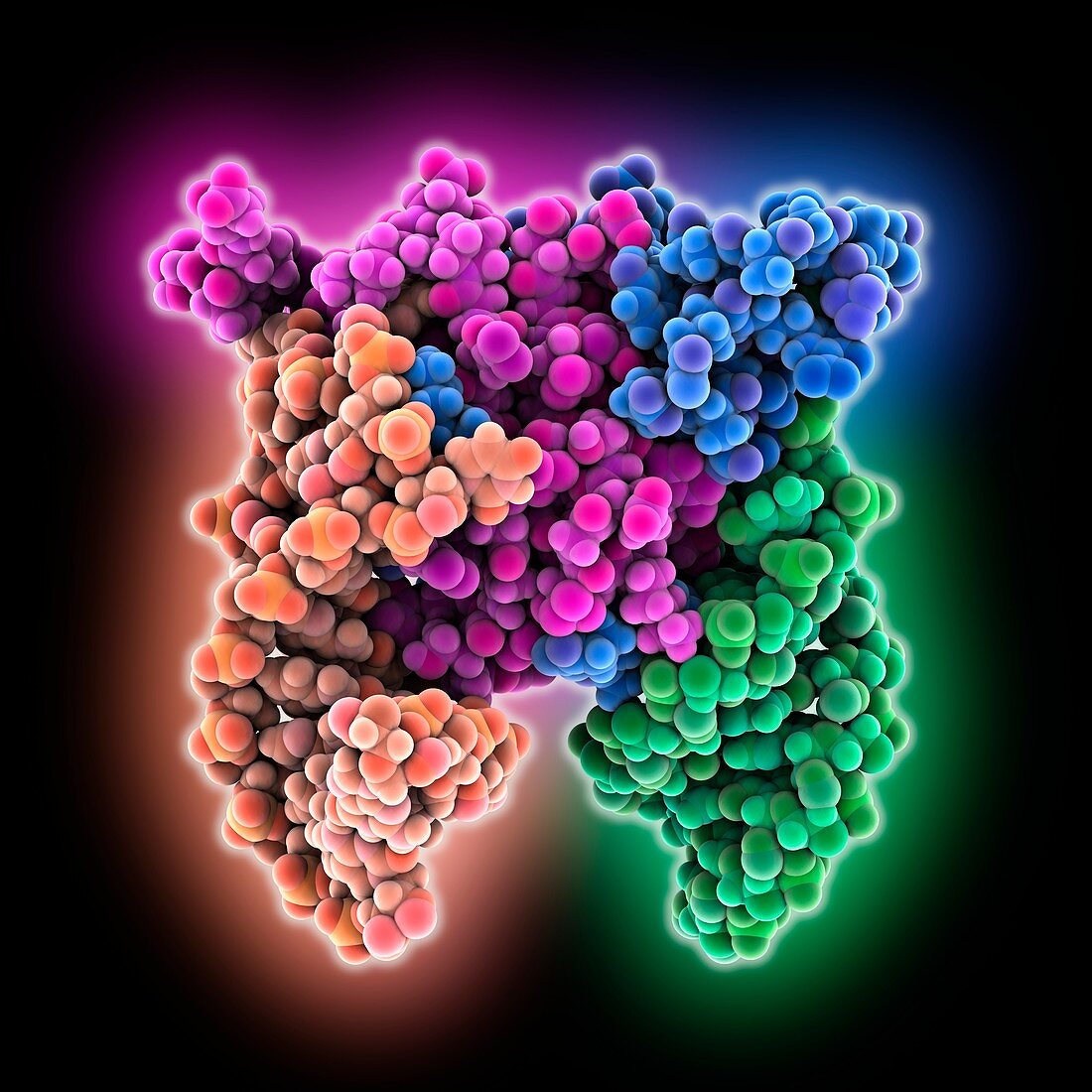 RNA carbon storage regulator complex