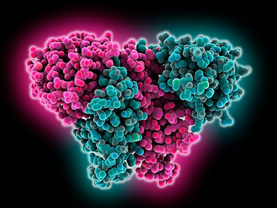 Circadian clock protein KaiA