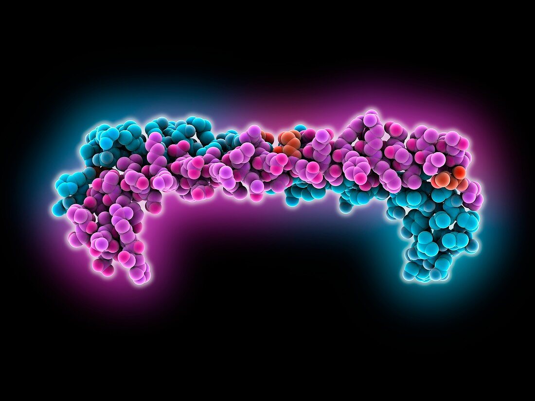 Guanylyl cyclase domain