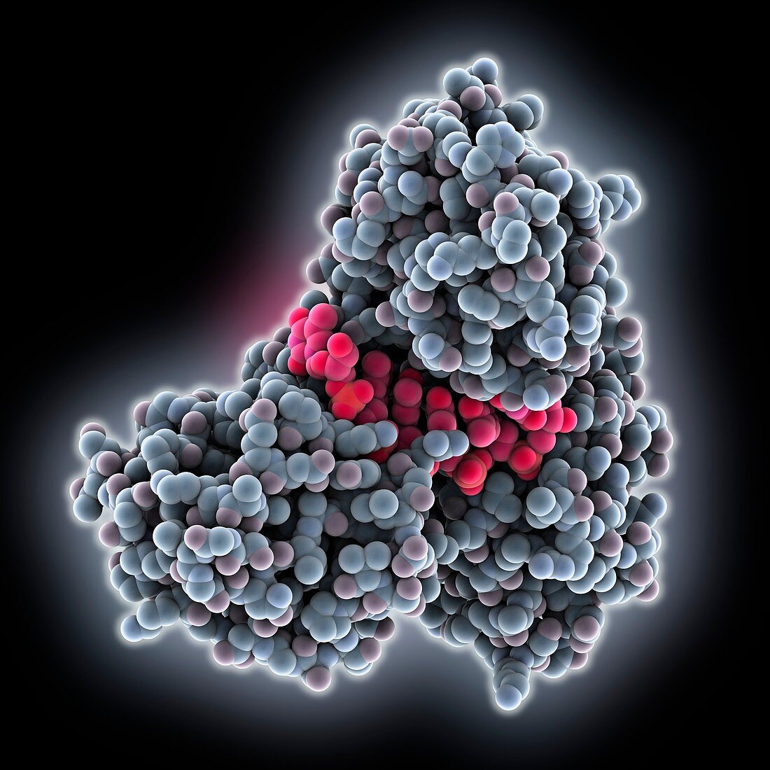 Hepatitis C helicase NS3h DNA complex