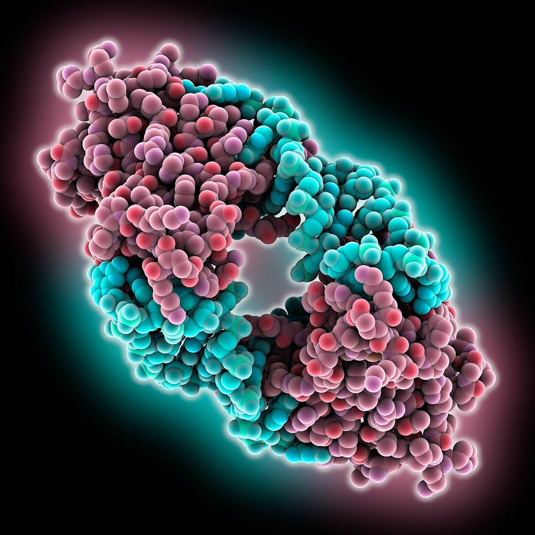 Inhibitor Lin28 microRNA complex