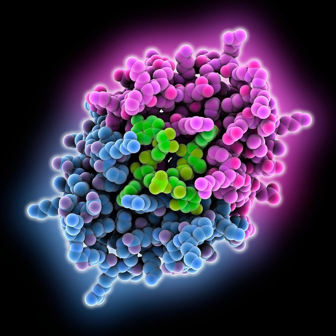 CRISPR-associated AfCsx3 complex