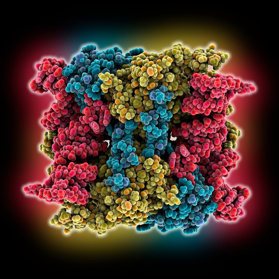 Human methyltransferase tRNA complex