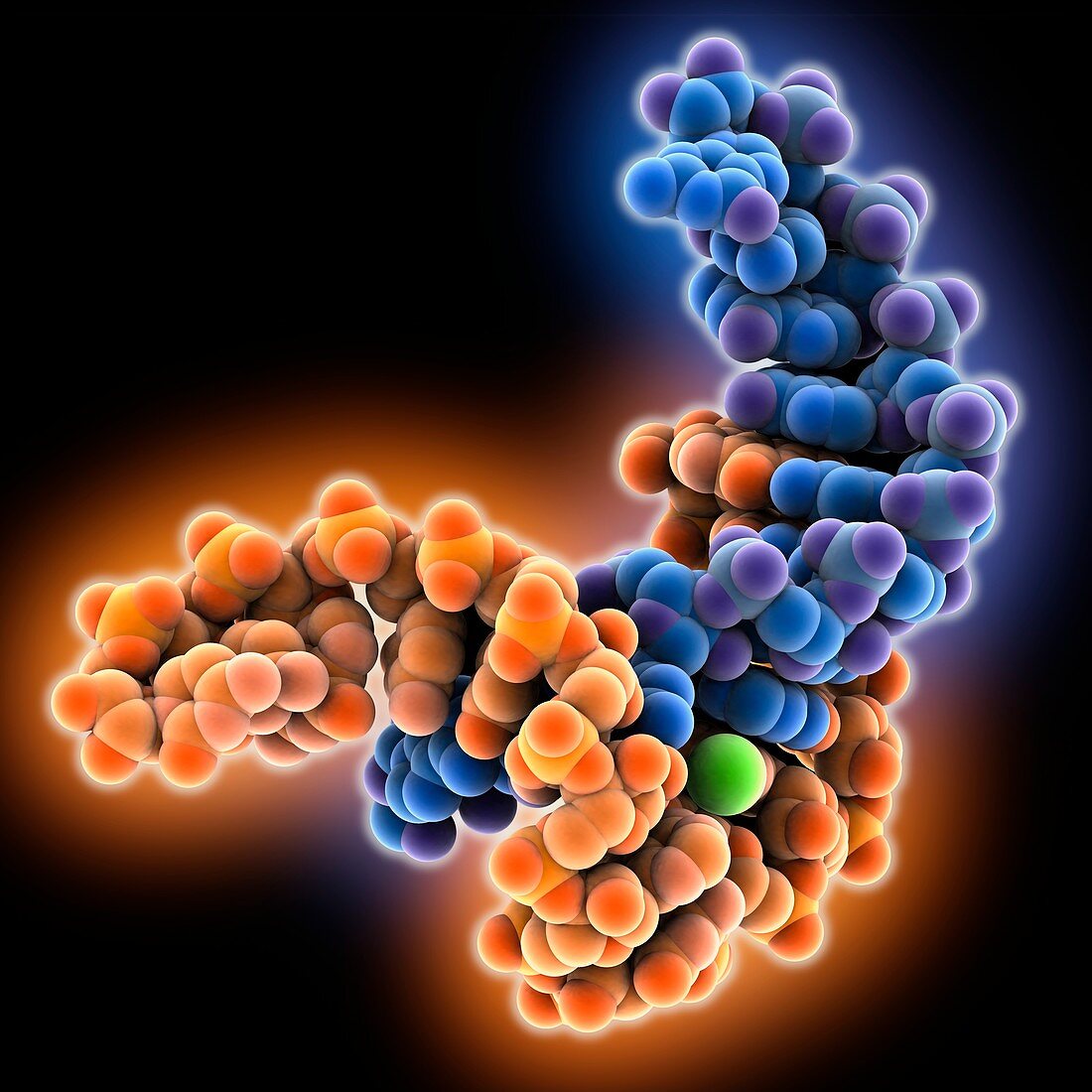 Engineered RNA nanotriangle molecule
