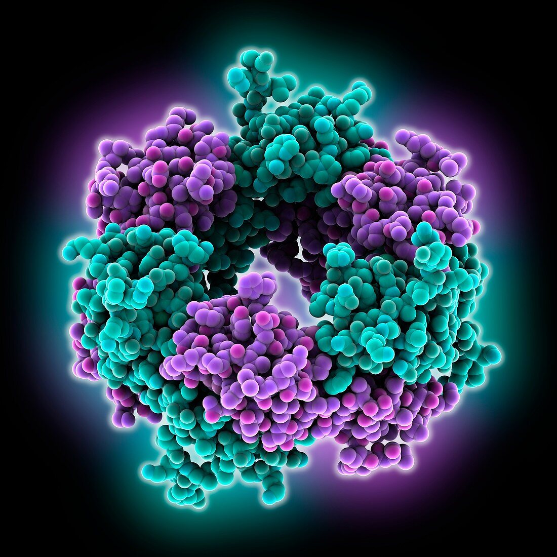 Lassa virus matrix protein Z
