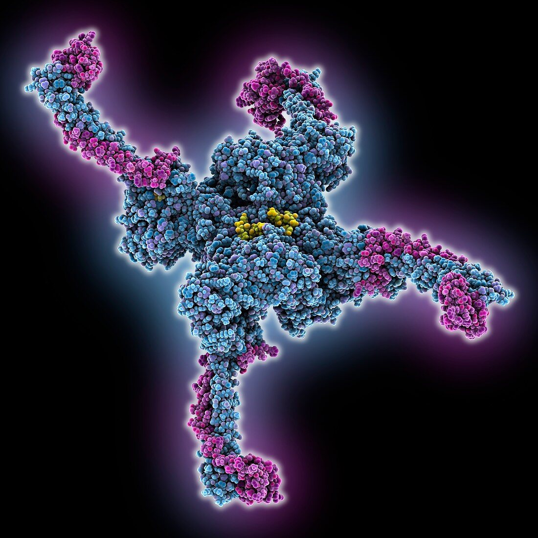 Demethylase complexed with RNA