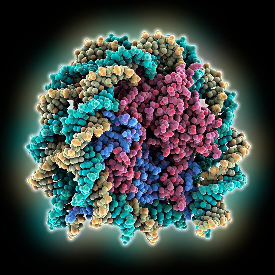 Human nucleosome with histone H3.Y