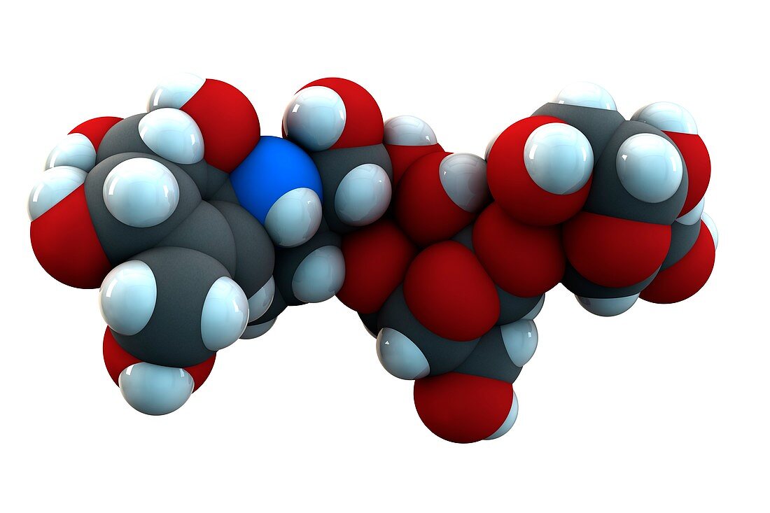 Acarbose diabetes drug molecule