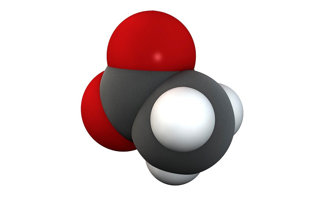 Acetic acid molecule