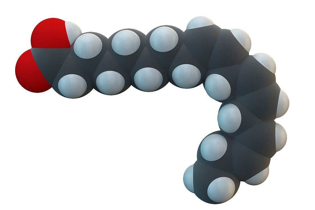 Alpha-linolenic acid molecule