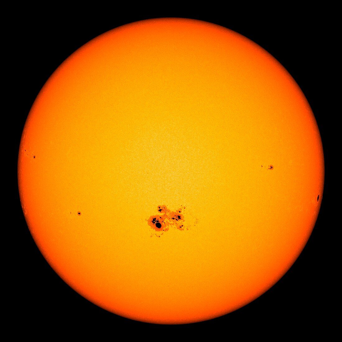 Sunspot AR2192, SDO image
