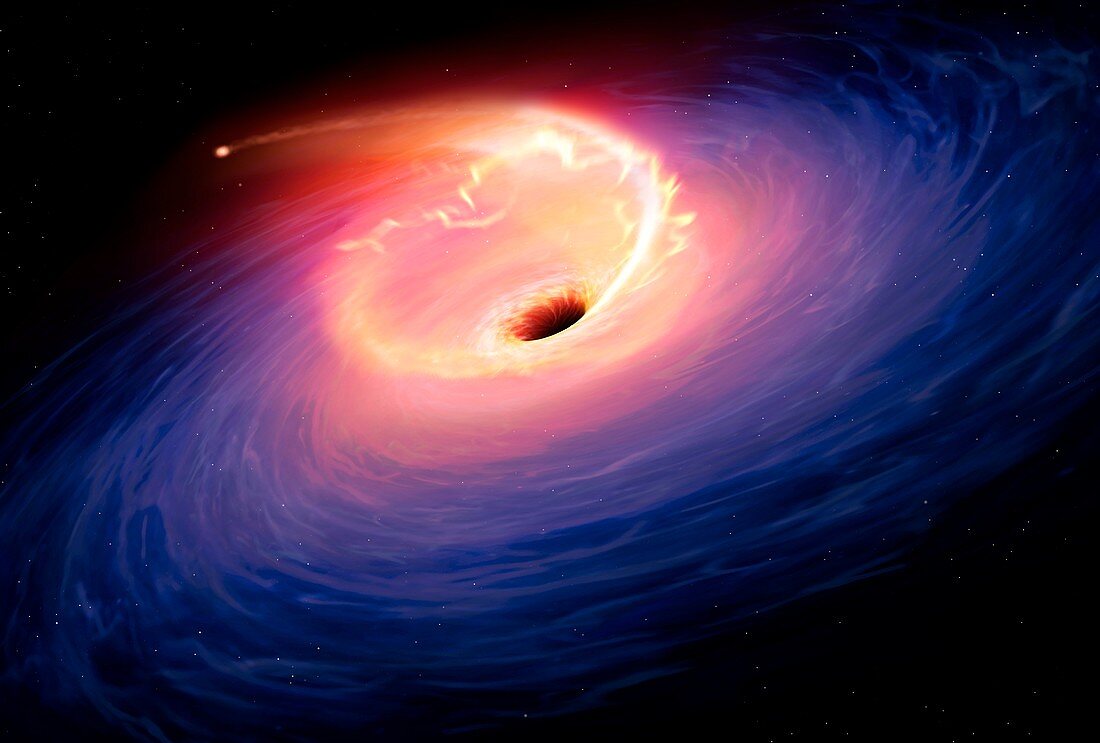 Black Hole Shredding a Star