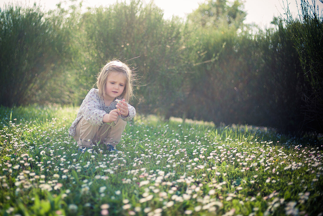 3-year-old girl holding a bouquet of wild flowers