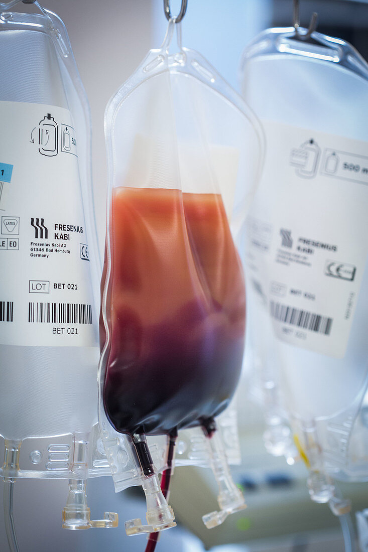 Donating stem cells from blood