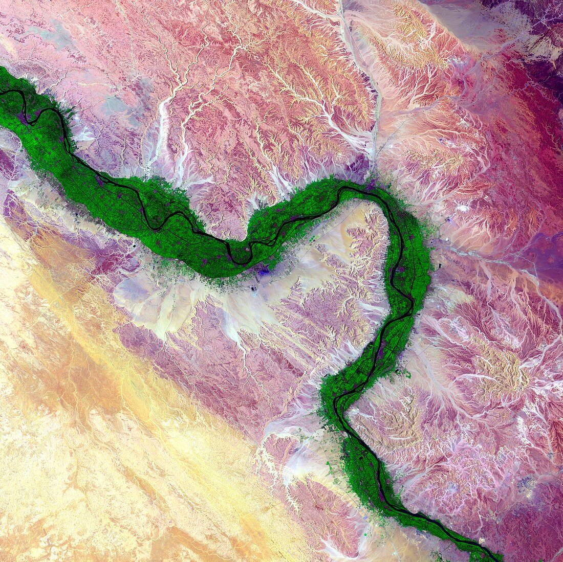 Nile and Egyptian desert, satellite image