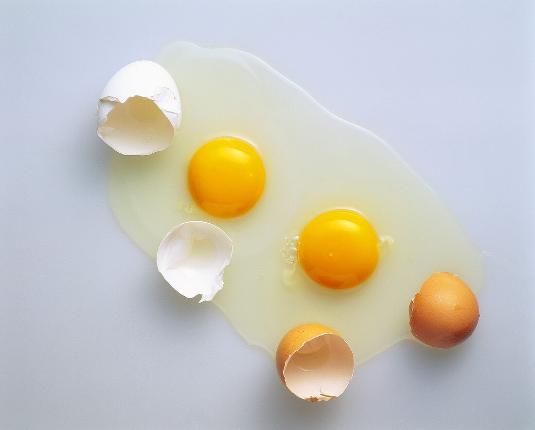 Two Eggs Cracked Open with Shells; One Brown and One White