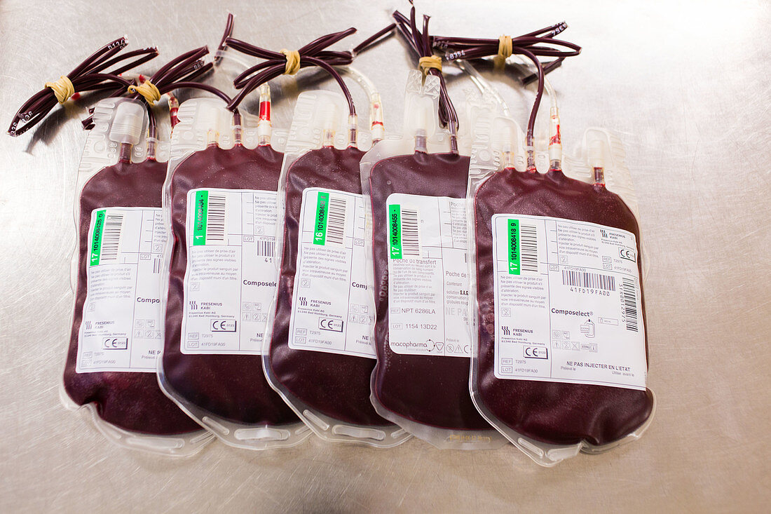 Blood donor processing