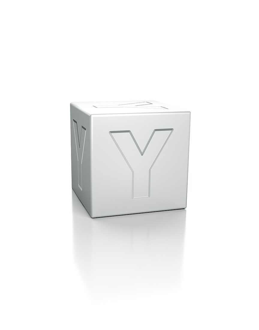 Cube with the letter Y embossed.