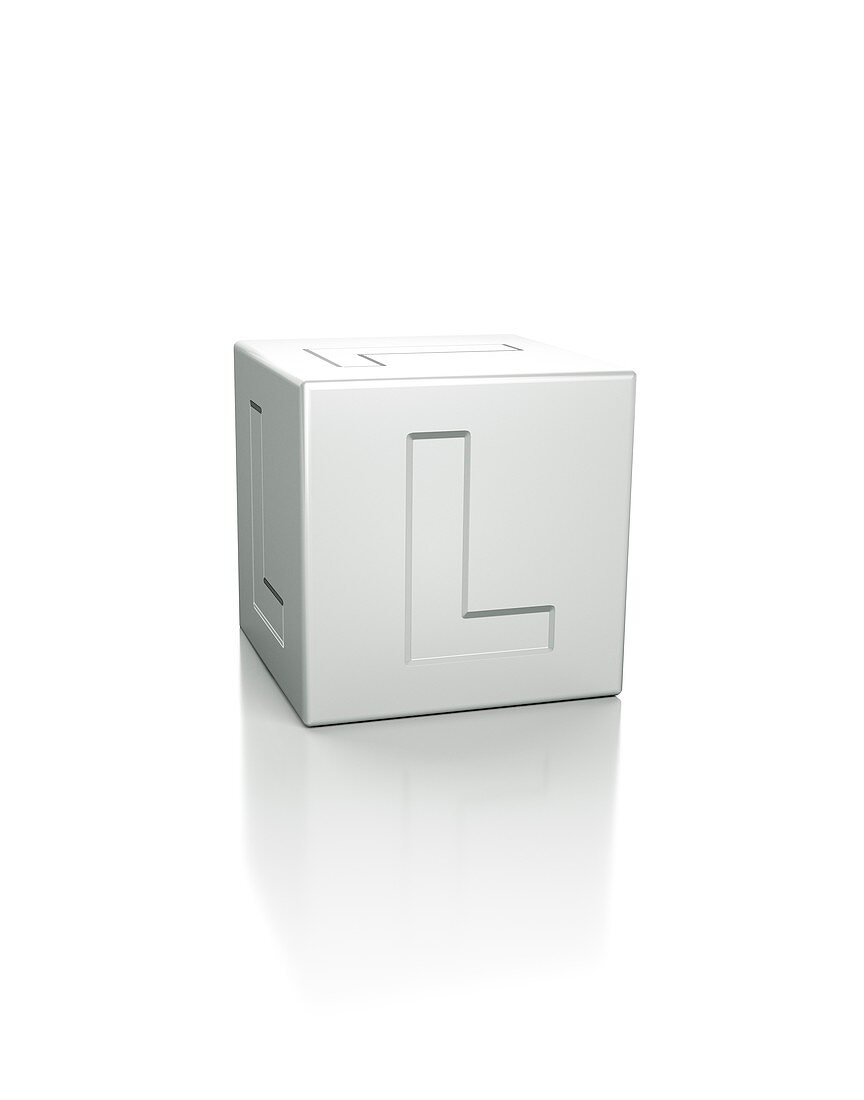 Cube with the letter L embossed.