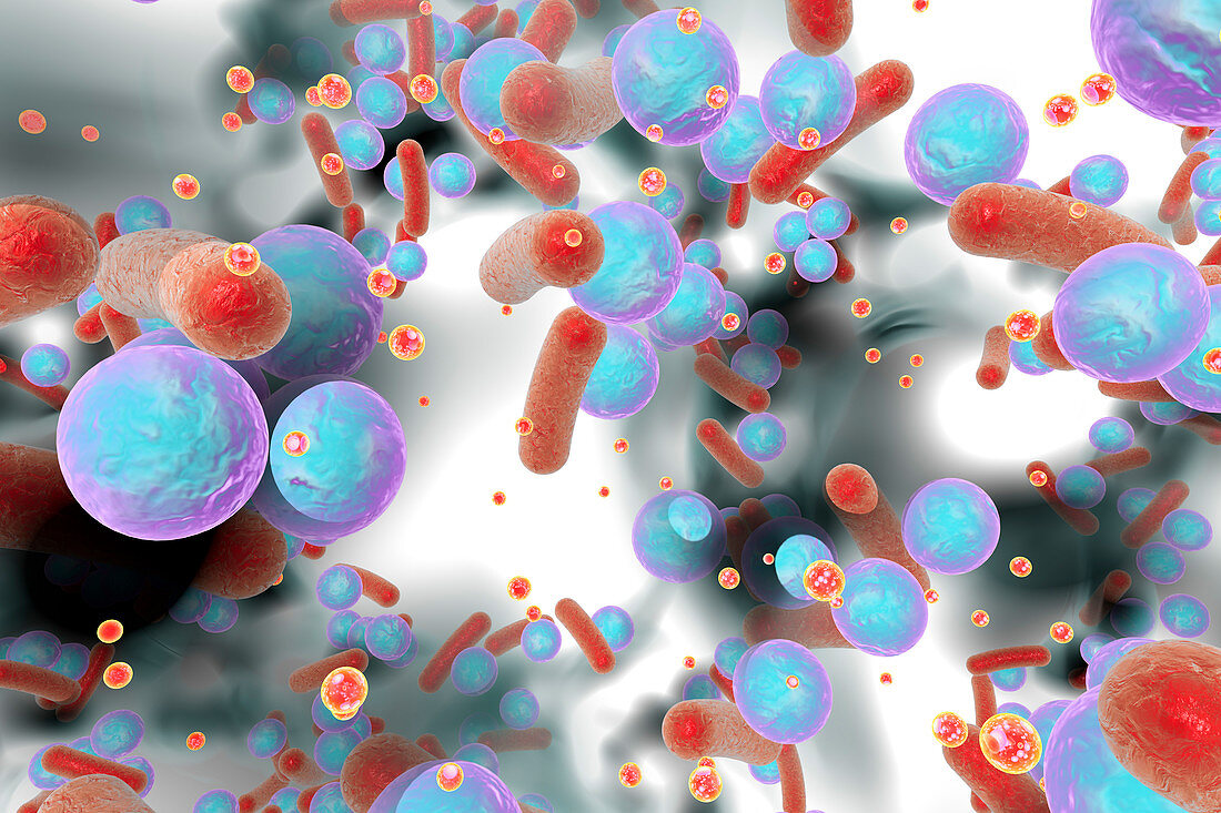 Bacteria in a biofilm, illustration