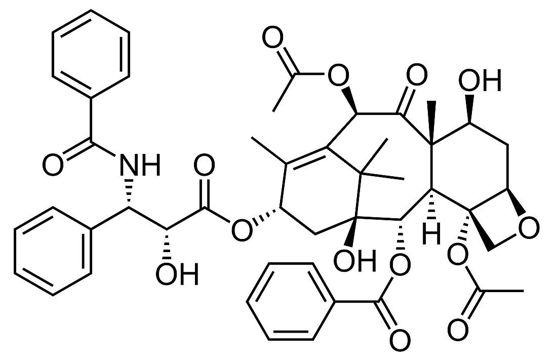 Taxol drug molecule, skeletal formula