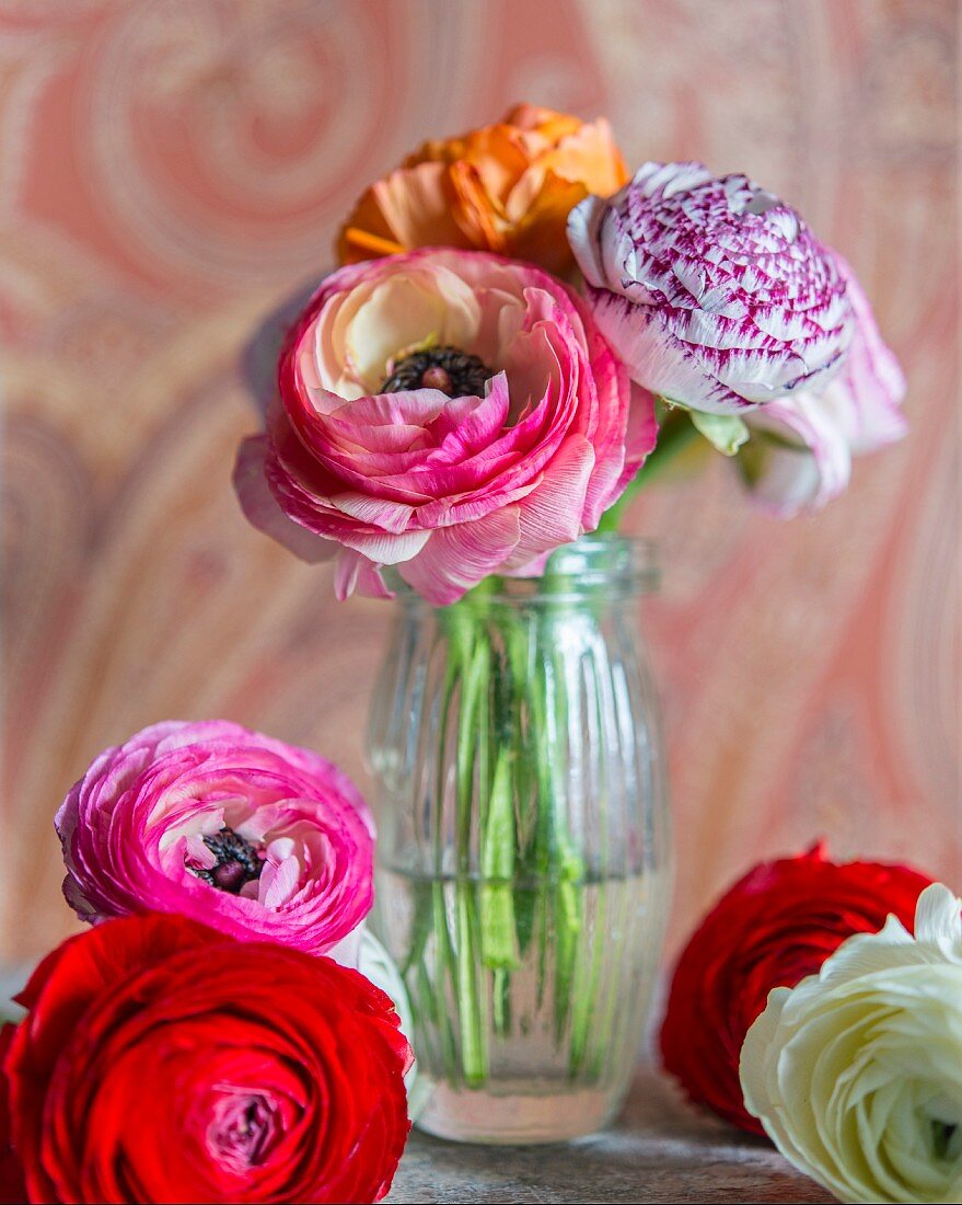 Arrangement of ranunculus flowers