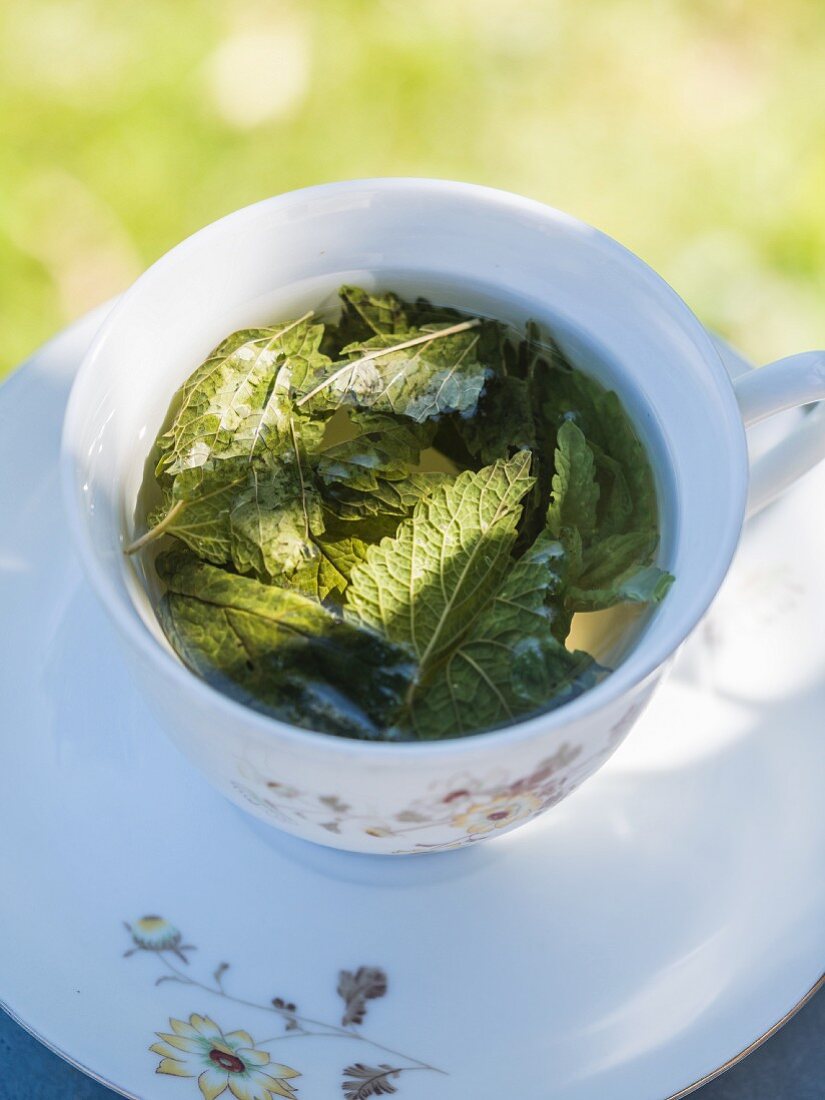 A cup of melissa tea on a table outdoors