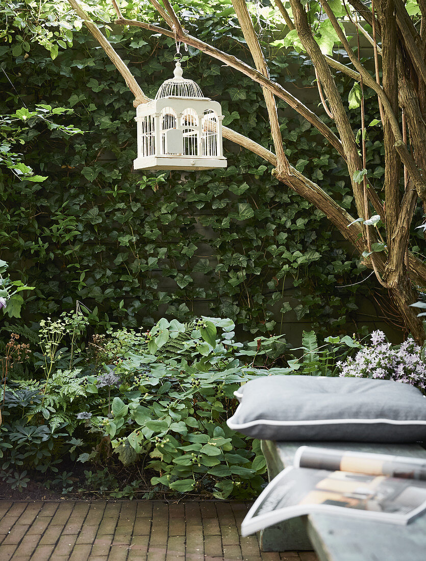 Birdcage hung from tree on terrace in front of climber-covered wall