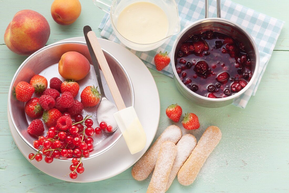 Frische Früchte, Rote Grütze, Vanillesauce und Löffelbiskuits