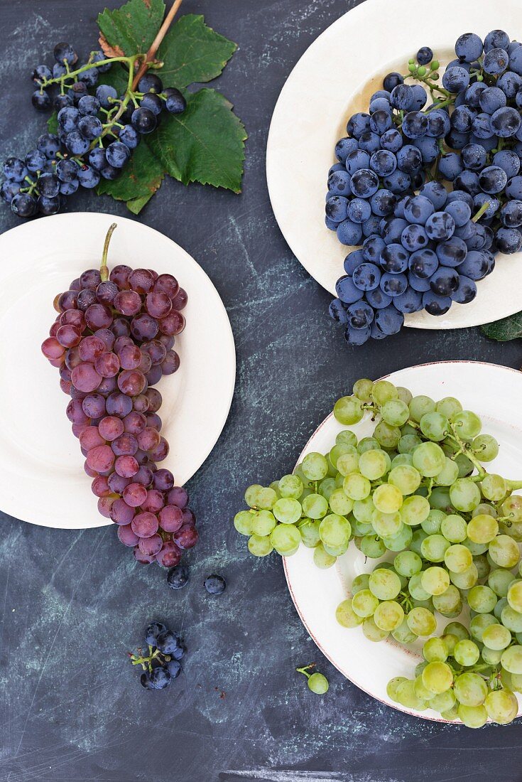 Several grape varieties (top view)