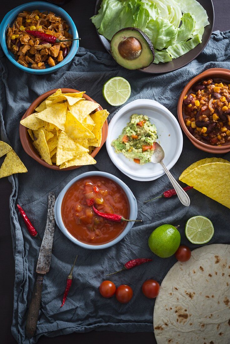 Vegane mexikanische Gerichte: Guacamole mit Tortillachips, Salsa, Pulled Jackfruit, Chili sin Carne
