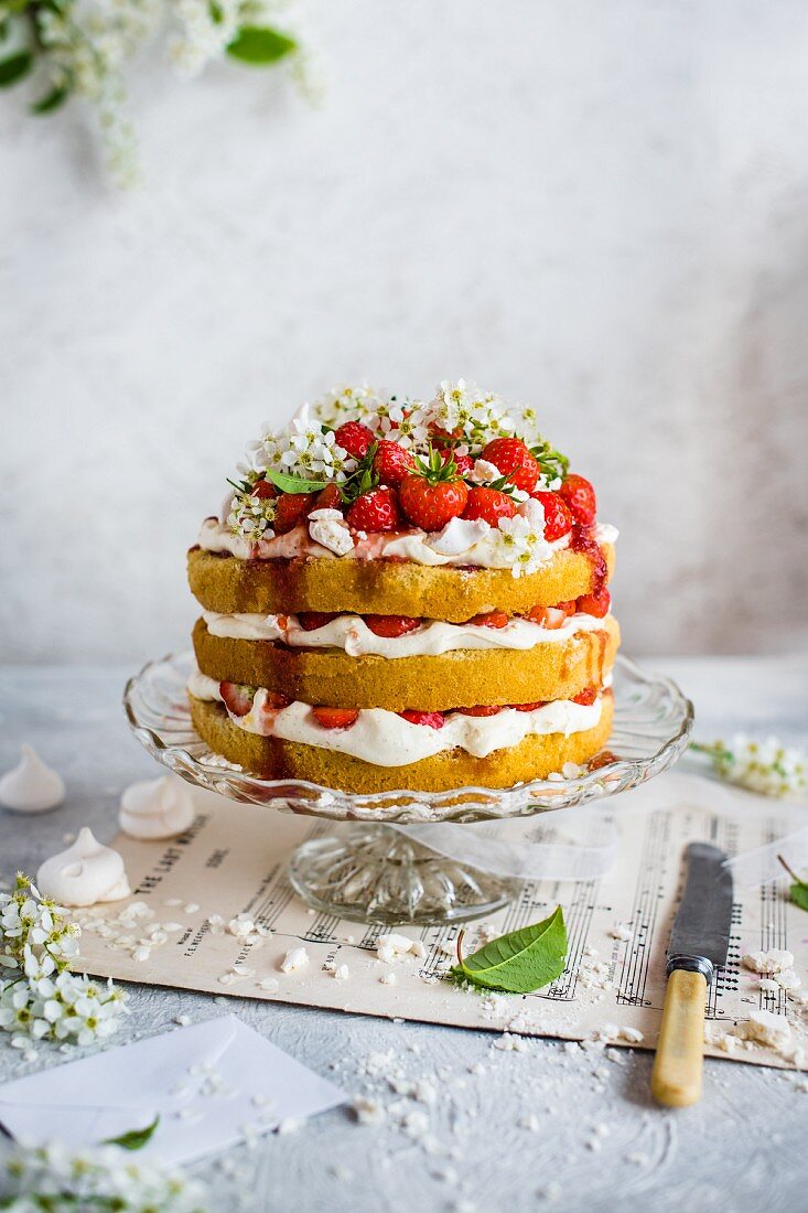 A multi-layer strawberry cream cake with meringue