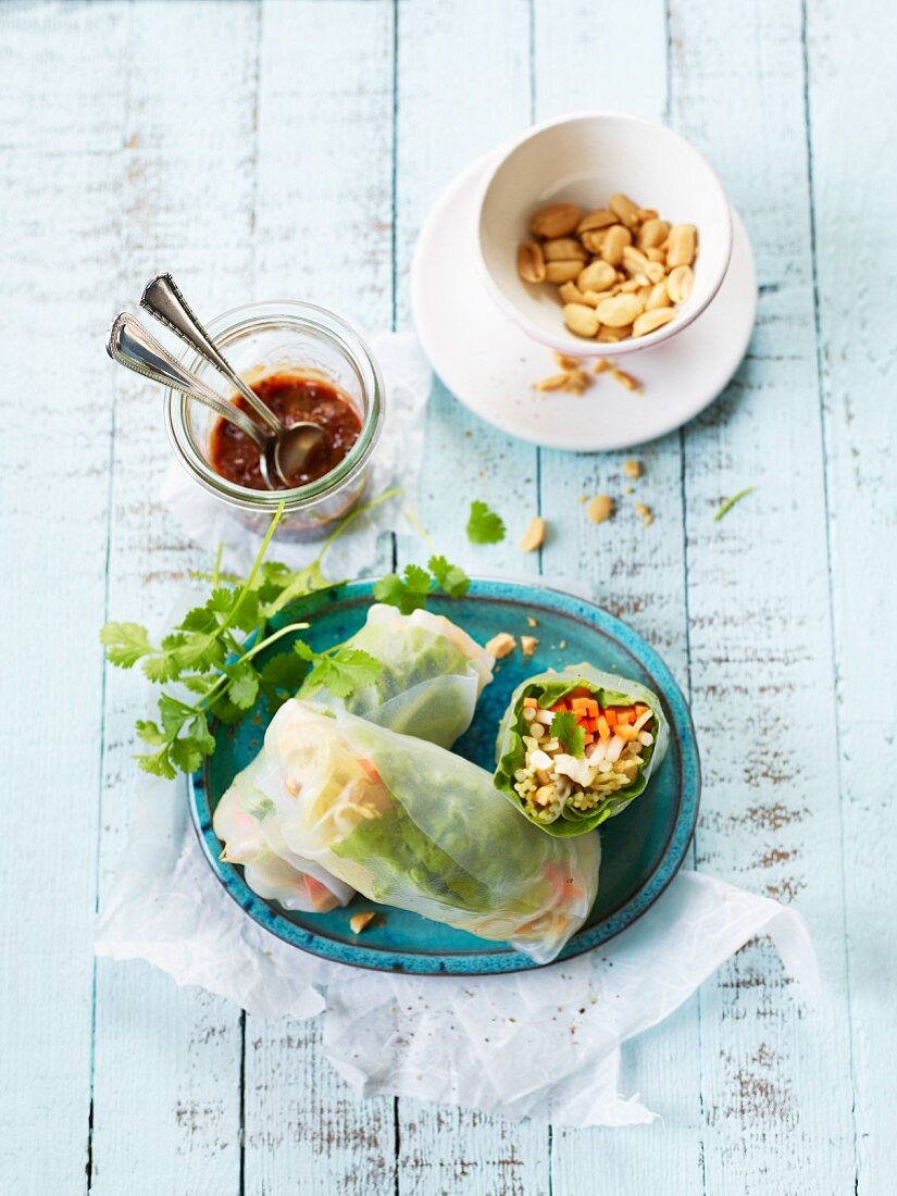 Summer rolls filled with vegetables and a plum dip (Asia)