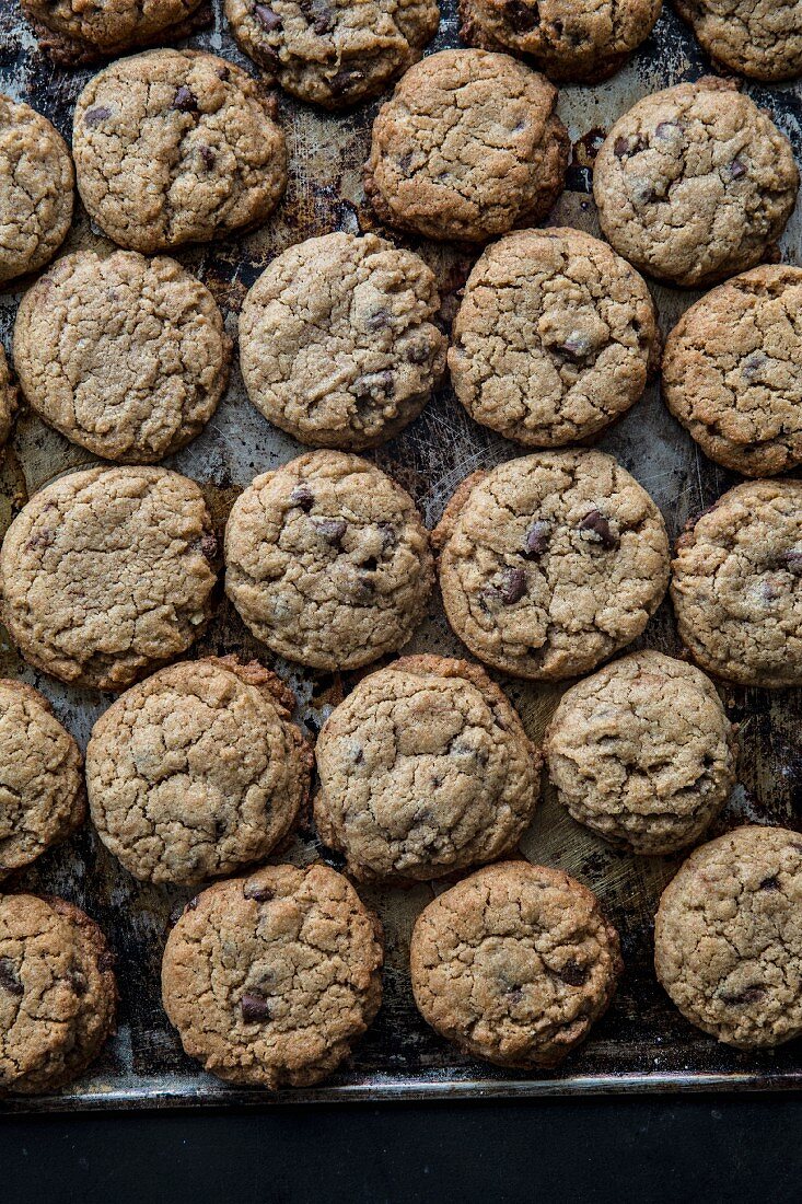 Viele Chocolatechip Cookies auf Backblech