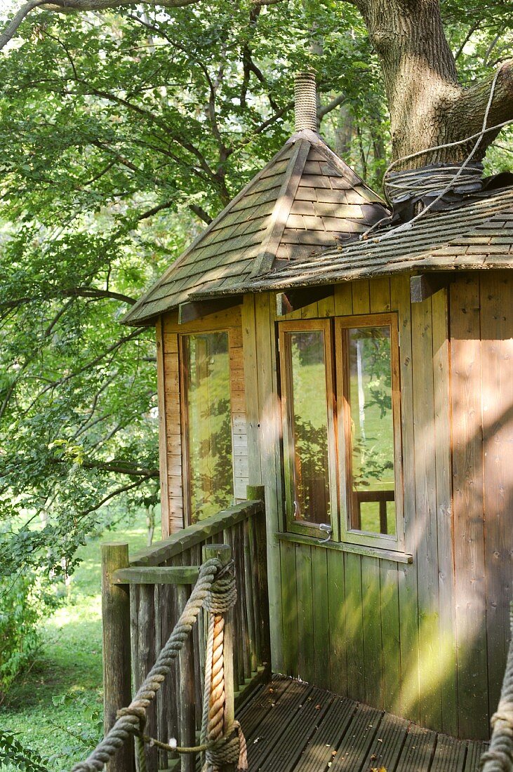 Rustic tree house with wooden walkway and shingle roof