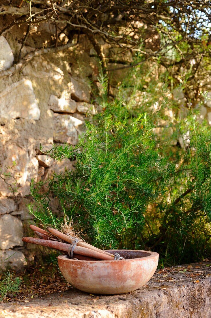 Bunch of candles in terracotta bowl in front of rosemary bush