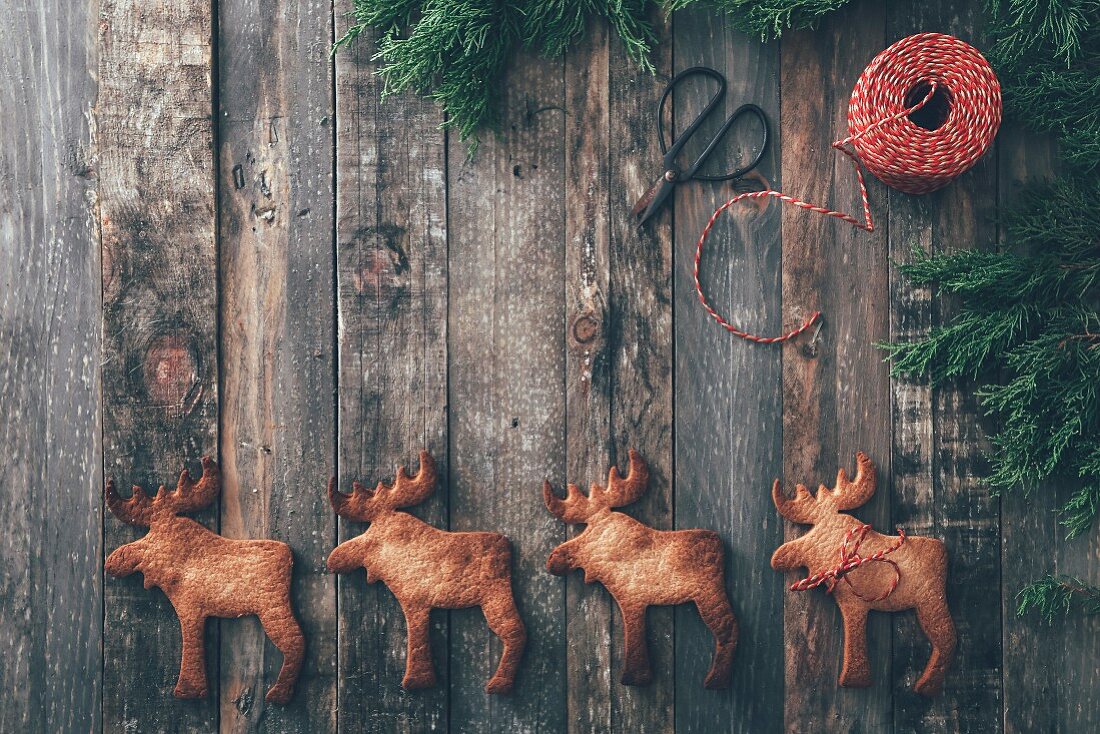 Row of four Elk-shaped Christmas cookies on dark wood