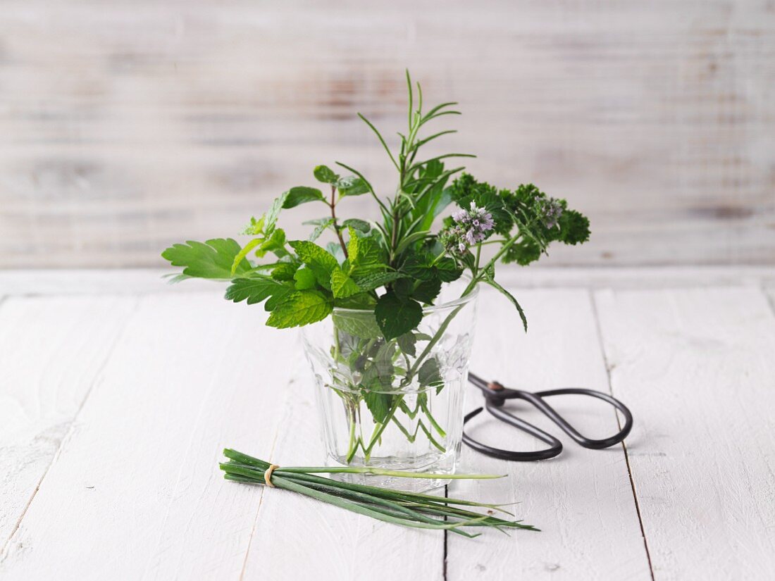 Fresh Herb Still Life