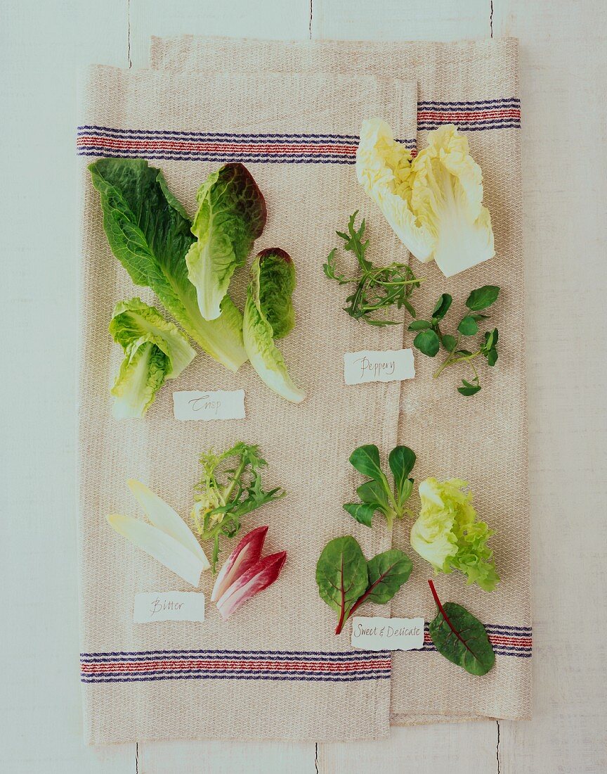 Verschiedene Salatblätter auf Leinentuch