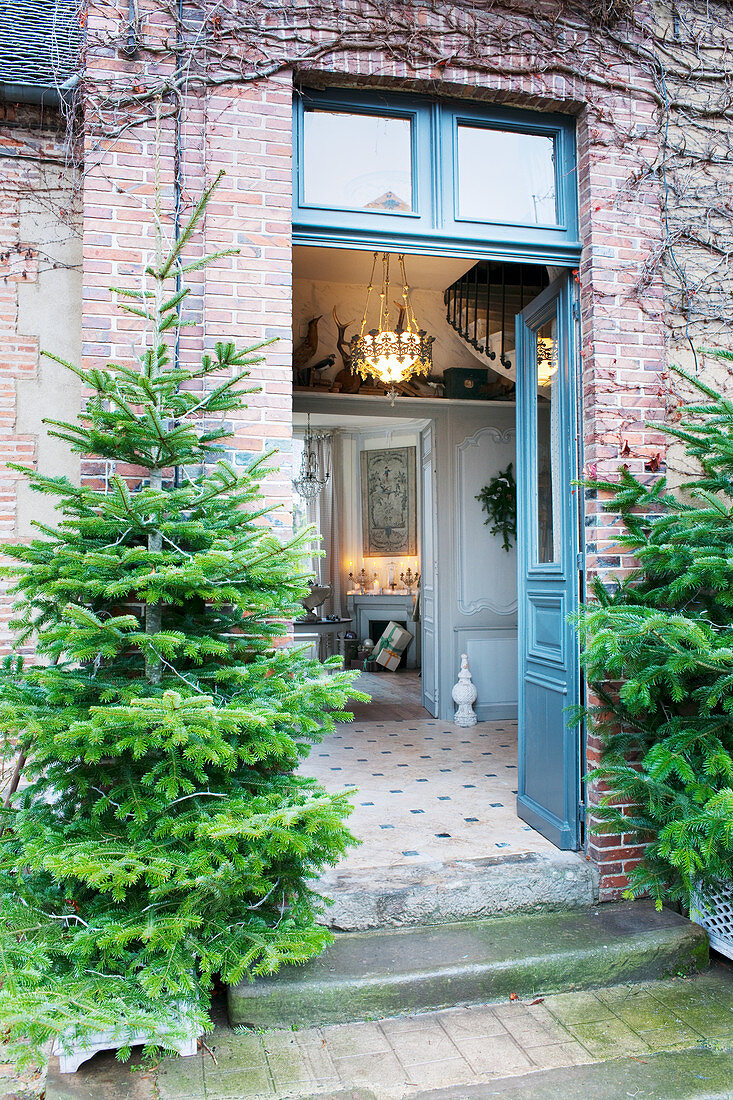 Two fir trees flanking open front door