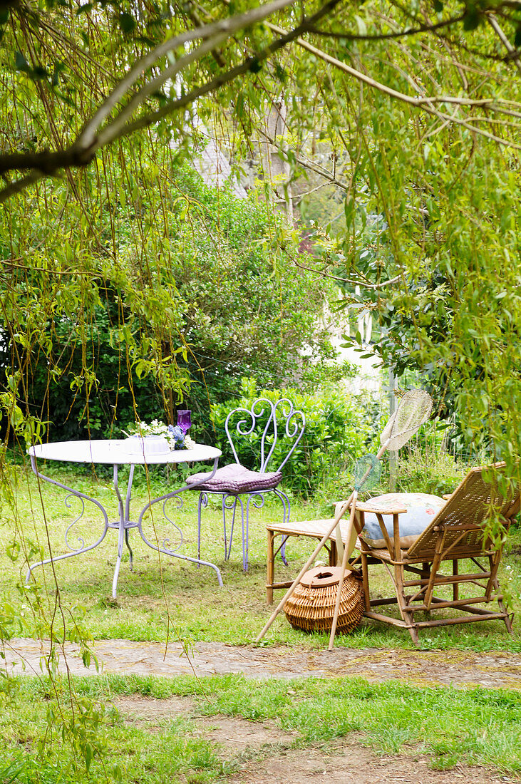 Wooden lounger and metal furniture under weeping willow in garden