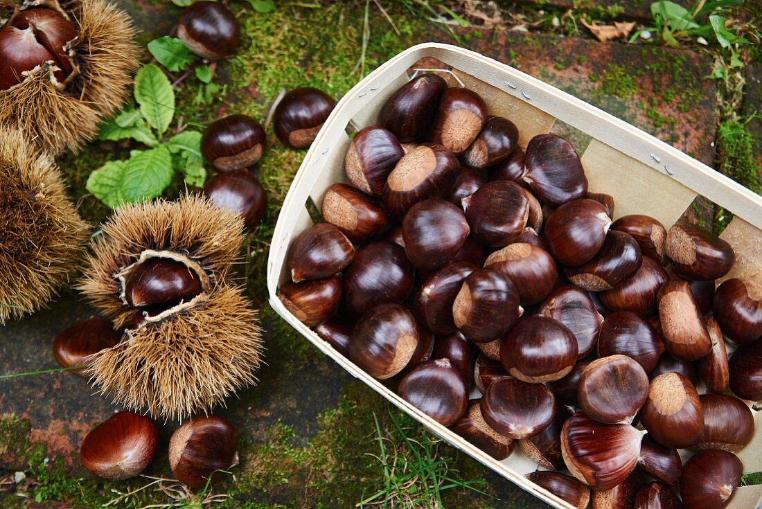 Chestnuts in a wooden basket