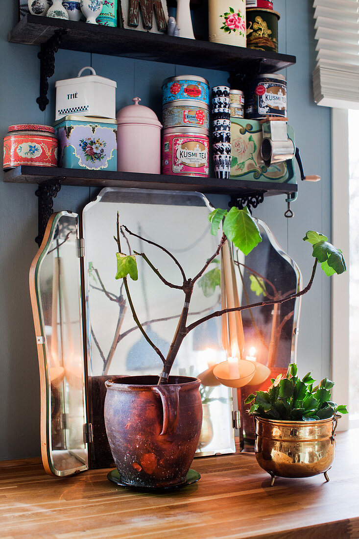 Blätterzweig, Zimmerpflanze und Spiegel auf Holzablage, darüber Wandregal mit Vintage Aufbewahrungsdosen